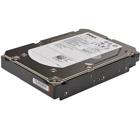 Dell / 2TB / HDD / 3.5" / SATA / 7200 RPM/1R (400-BRCT)