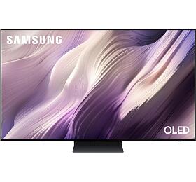 OLED televize Samsung QE48S95H