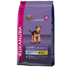 Granule Eukanuba Puppy &amp; Junior Large Breed 15 kg