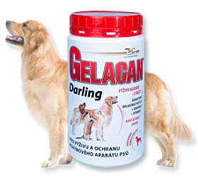 Gelacan plus Darling plv 500g