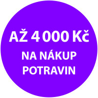 Zakupte lednici Concept a zskejte poukzku na nkup