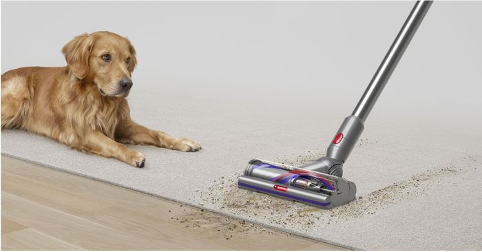 Vysavač Dyson vysává chlupy z koberce vedle ležícího psa