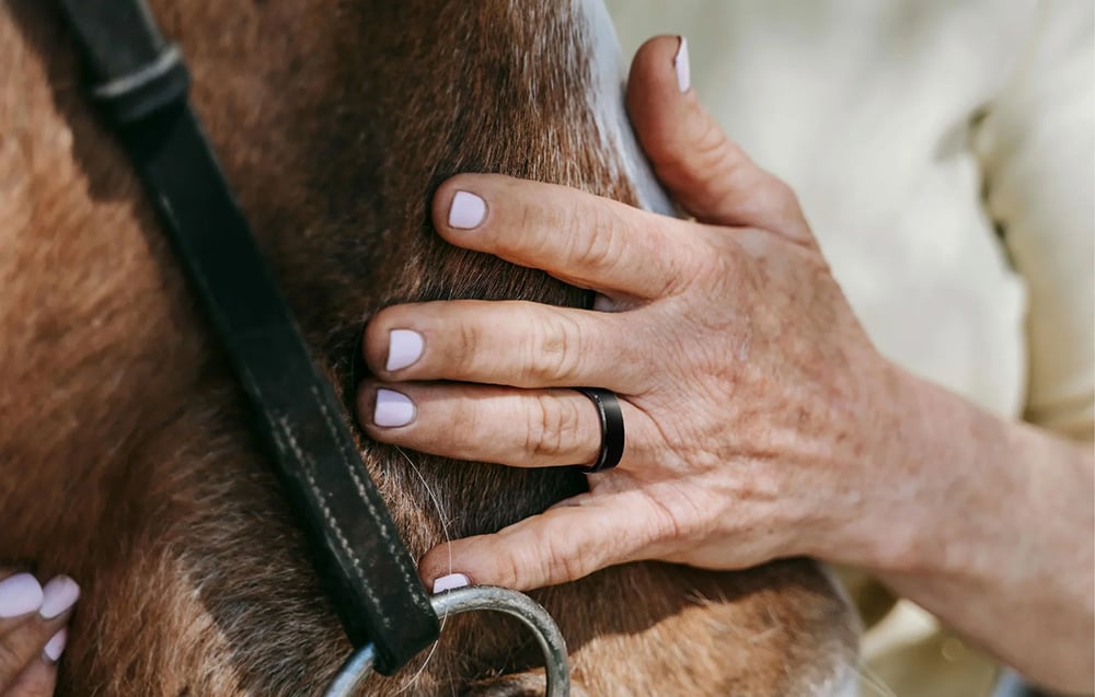 Ruka osoby dotýkající se boku koně, na jejímž prstu je černý chytrý prsten